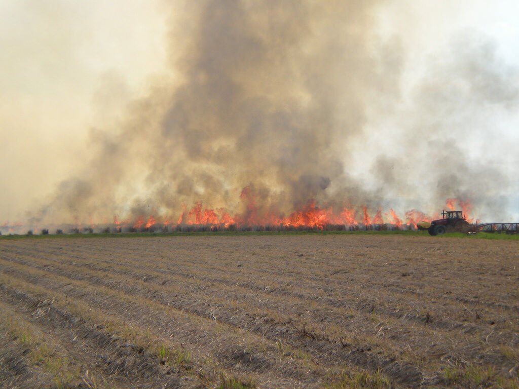 Stubble burning in Punjab: Is there a way ahead?