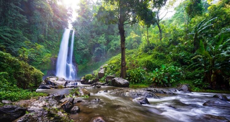 Jungle Ventures hits $175M first close on its third fund for Southeast Asia – TechCrunch